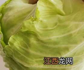 甘蓝可以做什么菜