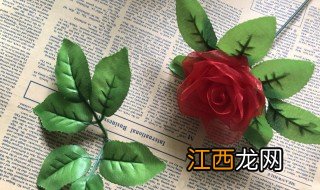 玫瑰花叶子发黄是怎么回事 玫瑰花叶子发黄原因是什么