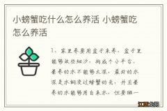 小螃蟹吃什么怎么养活 小螃蟹吃怎么养活