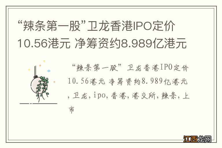 “辣条第一股”卫龙香港IPO定价10.56港元 净筹资约8.989亿港元