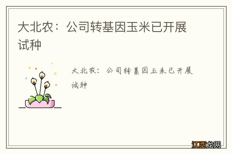 大北农：公司转基因玉米已开展试种