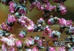 干桃花茶怎么制作