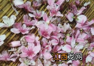 干桃花茶怎么制作