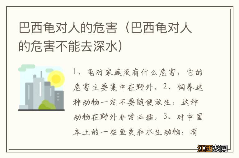 巴西龟对人的危害不能去深水 巴西龟对人的危害