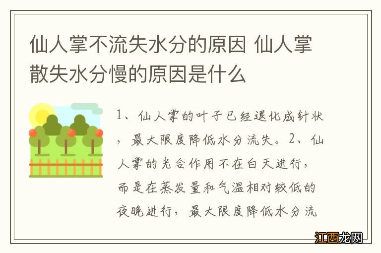 仙人掌不流失水分的原因 仙人掌散失水分慢的原因是什么