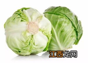 什么样的包心菜切丝好吃