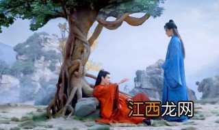 浪浪钉是什么意思 浪浪钉的意思