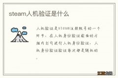 steam人机验证是什么