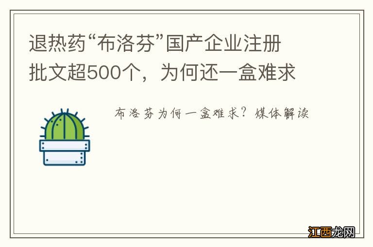 退热药“布洛芬”国产企业注册批文超500个，为何还一盒难求