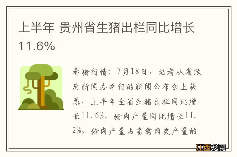 上半年 贵州省生猪出栏同比增长11.6%