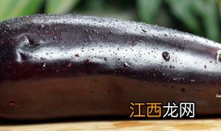 茄子繁殖的方法 繁殖的妙招介绍