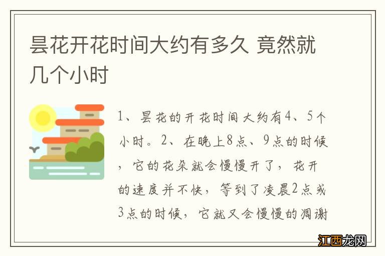 昙花开花时间大约有多久 竟然就几个小时