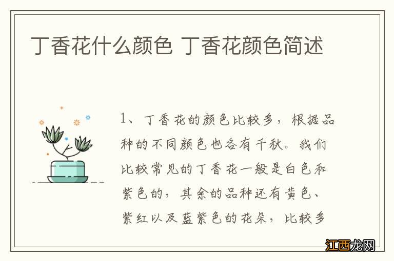 丁香花什么颜色 丁香花颜色简述