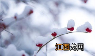 立冬下雪的搞笑文案短句 冬天下雪搞笑文案