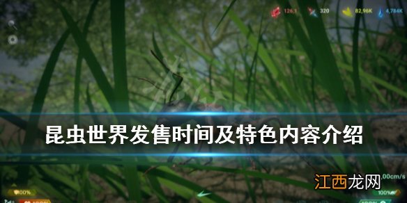 昆虫世界游戏什么时候出 昆虫世界发售时间及特色内容介绍