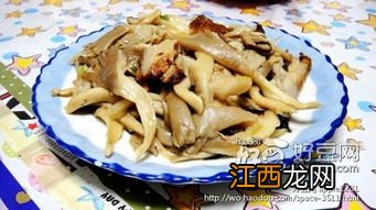 平菇可以炒什么菜