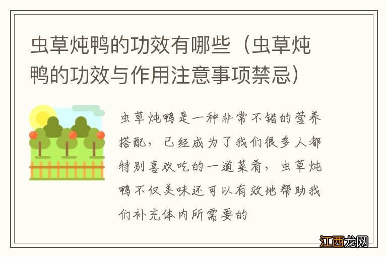 虫草炖鸭的功效与作用注意事项禁忌 虫草炖鸭的功效有哪些