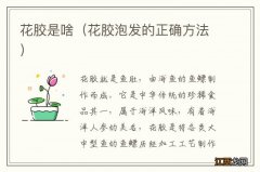 花胶泡发的正确方法 花胶是啥