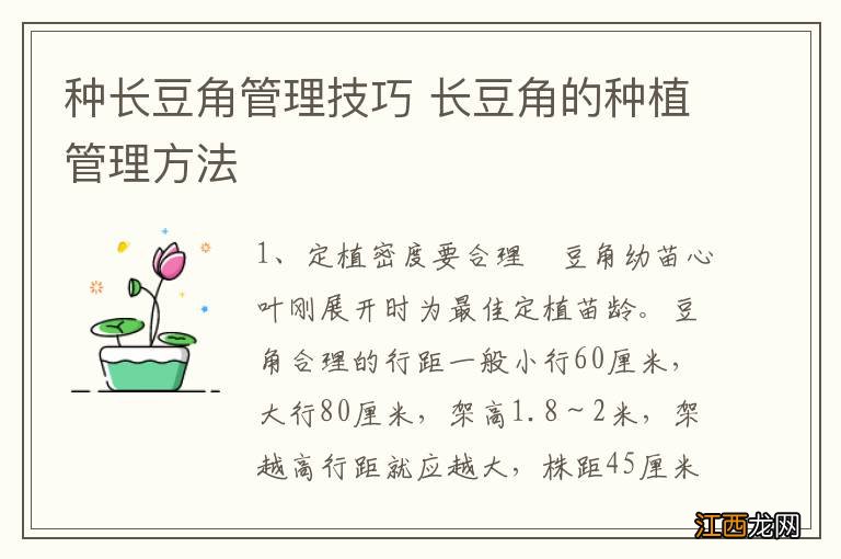 种长豆角管理技巧 长豆角的种植管理方法