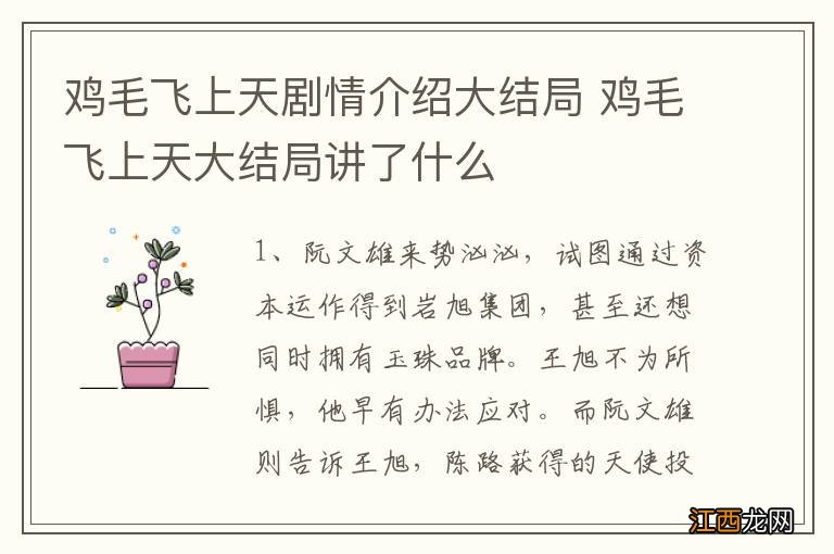 鸡毛飞上天剧情介绍大结局 鸡毛飞上天大结局讲了什么