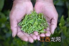 舒城小兰花怎么样