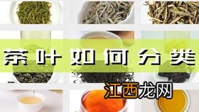 茶叶怎么分类