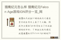 猎鹰纪元怎么样 猎鹰纪元Falcon Age游戏IGN评分一览_网