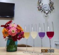 李子做酵素又什么的功效