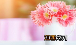 鲜花里放什么可以保鲜 鲜花怎么可以保鲜