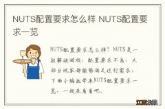 NUTS配置要求怎么样 NUTS配置要求一览