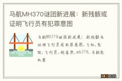 马航MH370谜团新进展：新残骸或证明飞行员有犯罪意图