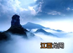 梵净山翠峰茶怎么样