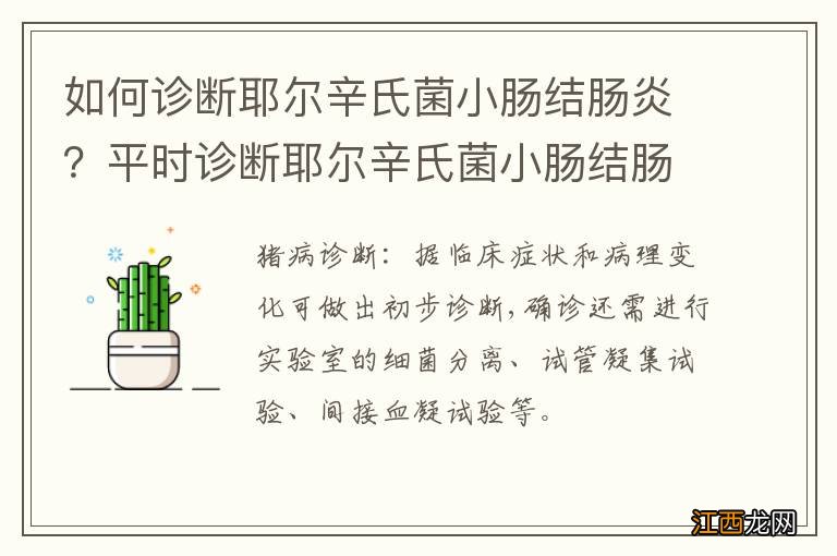 如何诊断耶尔辛氏菌小肠结肠炎？平时诊断耶尔辛氏菌小肠结肠炎有什