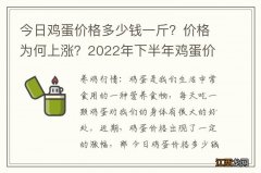 今日鸡蛋价格多少钱一斤？价格为何上涨？2022年下半年鸡蛋价格走势