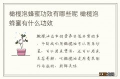 橄榄泡蜂蜜功效有哪些呢 橄榄泡蜂蜜有什么功效