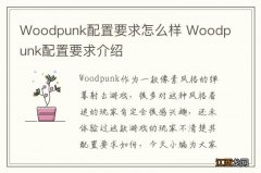 Woodpunk配置要求怎么样 Woodpunk配置要求介绍