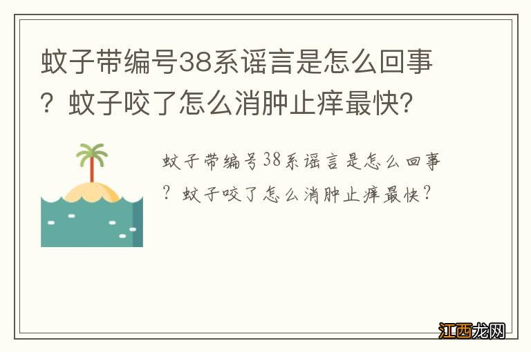 蚊子带编号38系谣言是怎么回事？蚊子咬了怎么消肿止痒最快？