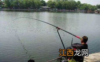 钓小鱼什么时候提竿最好 钓小鱼什么时候提竿的方法