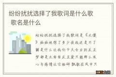 纷纷扰扰选择了我歌词是什么歌 歌名是什么