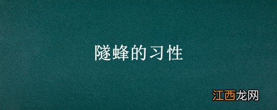 隧蜂的习性，关于隧蜂的介绍