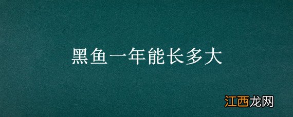 10厘米的黑鱼一年能长多大 黑鱼一年能长多大