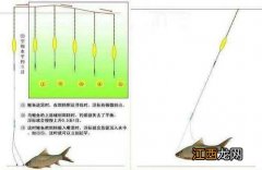 调平水的正确方法 野钓调平水的详细方法