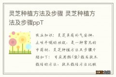 灵芝种植方法及步骤 灵芝种植方法及步骤ppT