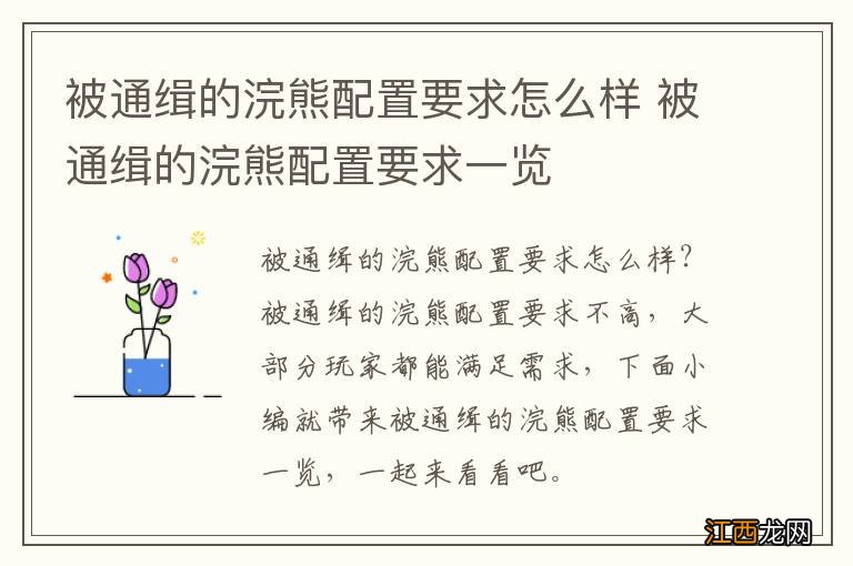 被通缉的浣熊配置要求怎么样 被通缉的浣熊配置要求一览