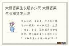 大棚香菜生长期多少天 大棚香菜生长期多少天啊