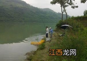 春天水库钓鱼怎么选择地点 春天水库钓鱼地点选择方法简述