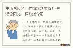 生活像阳光一样灿烂剧情简介 生活像阳光一样灿烂介绍