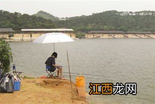 钓鲫鱼用长漂还是短漂 有什么优势