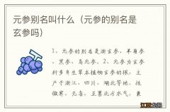 元参的别名是玄参吗 元参别名叫什么