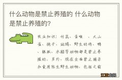 什么动物是禁止养殖的 什么动物是禁止养殖的?